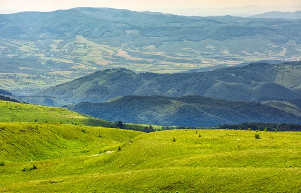 Meadow on a mountain slope — Stock Photo, Image