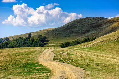 hill side çayır Karpatlar'yol