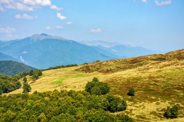 hillside arkasında yüksek tepe