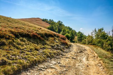 Dağ sunrise adlı çayırda hillside yolda