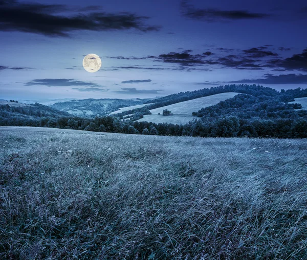 Landsbygdens fält nära skogen på hillside på natten — Stockfoto