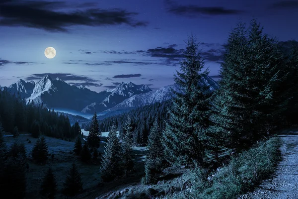 Valle entre en la noche — Foto de Stock