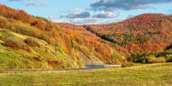 Camino de montaña cerca del bosque bajo el cielo nublado — Foto de Stock