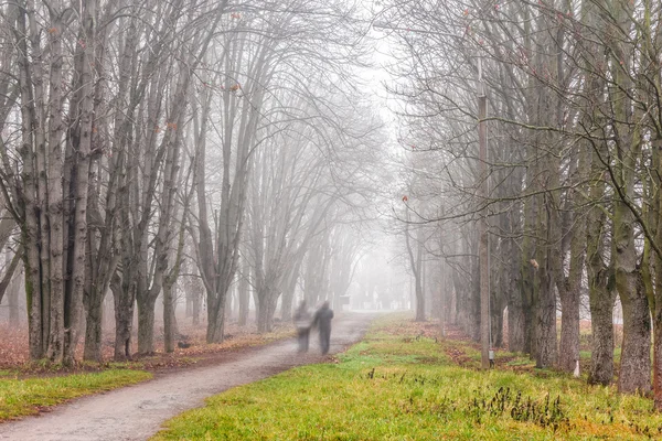 Path through foggy autumn park — Stock Photo, Image