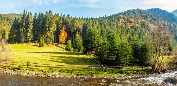Ländliches Feld in der Nähe des Waldes in den Bergen — Stockfoto