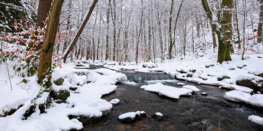 Kış ormanındaki su akıntısı. Ağaçlar ve kıyılar karla kaplı.