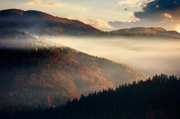 Dramatische Herbstdämmerung Den Bergen Schöne Natur Hintergrund Nebel Über Den — Stockfoto