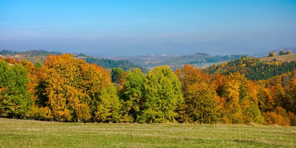 Stromy Barevném Listí Kopcích Válcování Krajiny Podzimní Sezóně Nádherné Slunečné — Stock fotografie