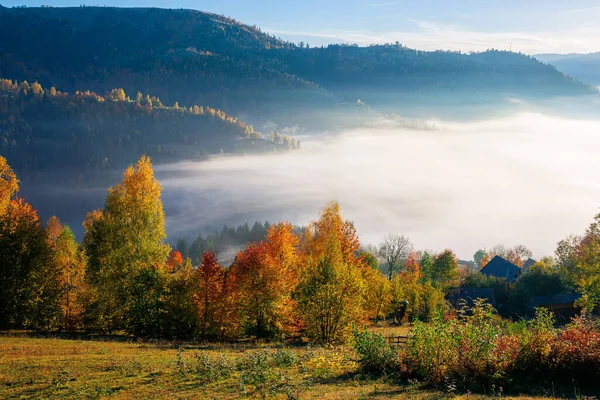 Atemberaubende Ländliche Landschaft Nebelschwaden Bei Sonnenaufgang Herbst Bäume Auf Berghügeln — Stockfoto