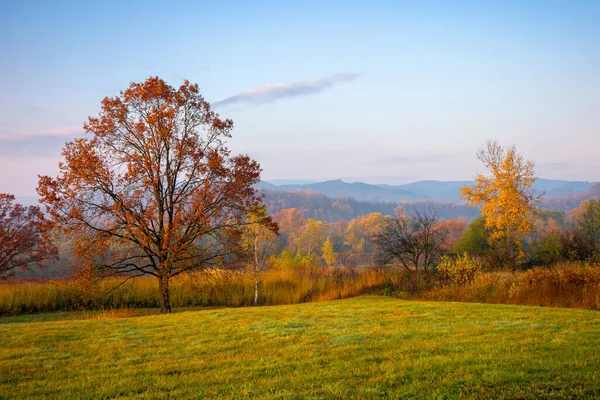 Magnifique Campagne Aube Automne Arbres Dans Feuillage Coloré Sur Champ — Photo