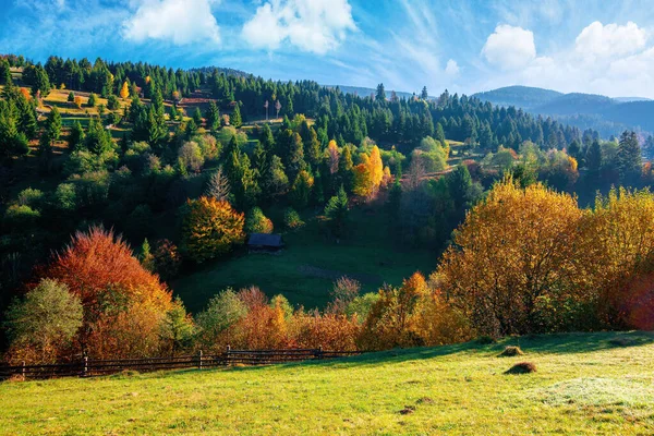 Dağlardaki Sonbahar Kırsal Arazisi Tepedeki Çimenler Renkli Yapraklar Içindeki Ağaçlar — Stok fotoğraf