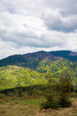 Baharda dağ manzarası. bulutlu gökyüzü