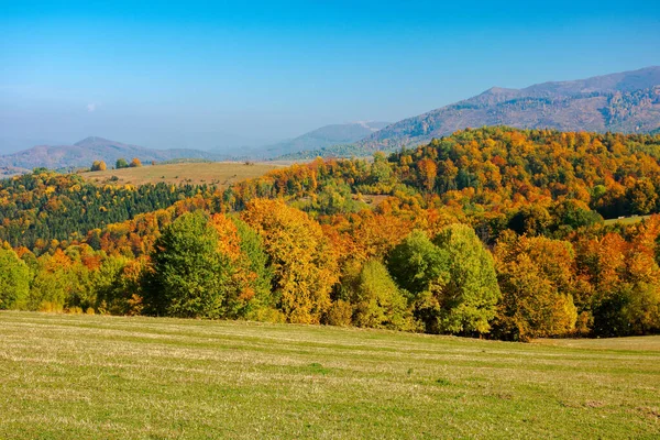 Bomen Kleurrijk Gebladerte Heuvels Glooiend Landschap Het Najaar Heerlijk Zonnig — Stockfoto