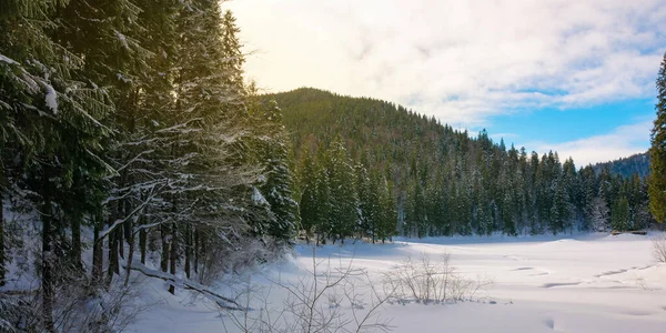 Zasněžené Horské Jezero Mezi Lesem Zelené Smrky Břehu Krásné Slunečné — Stock fotografie