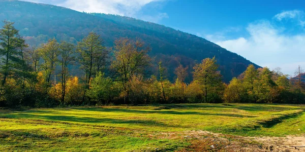 沿着乡村山谷的树木 美丽的秋天山景 山上的森林 秋天的颜色 阳光灿烂的天气 蓝天乌云 — 图库照片