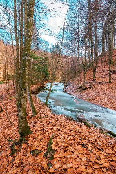 Ormandaki Donmuş Nehir Soğuk Soğuk Hava — Stok fotoğraf