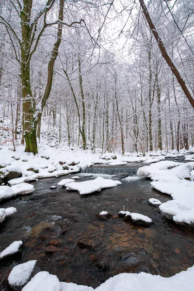 Kış Ormanındaki Akıntısı Ağaçlar Kıyılar Karla Kaplı — Stok fotoğraf