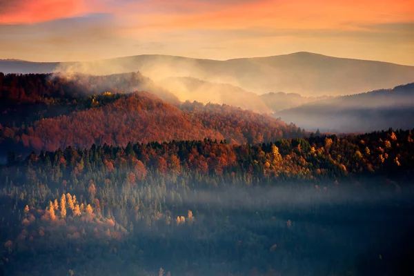 山の中の劇的な秋の夜明け 美しい自然を背景に 紅葉の森の丘の上に霧が立ち — ストック写真