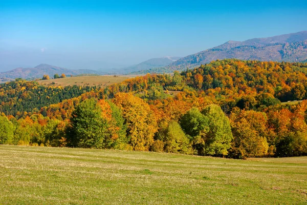 山上生长着五彩缤纷的树叶 秋天的季节里 乡村的风景在飘扬 喀尔巴阡山风景秀丽 天气晴朗 — 图库照片