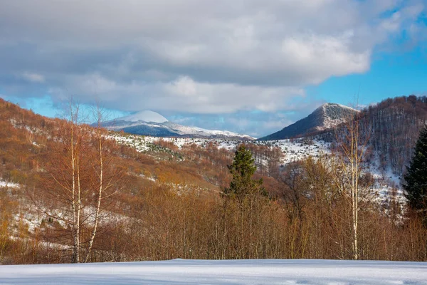 Soleado Paisaje Invierno Las Montañas Bosque Abedul Prado Cubierto Nieve — Foto de Stock