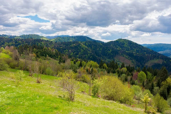 Berglandschaft Frühling Bäume Auf Grasbewachsenen Hügeln Tal Der Ferne Der — Stockfoto