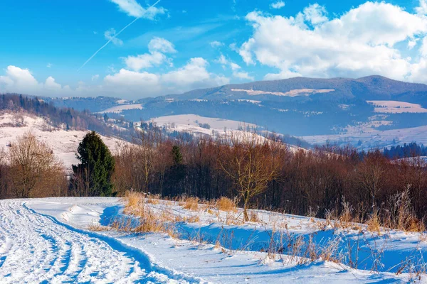 Campo Inverno Dia Sol Floresta Colinas Cobertas Neve Cume Montanha — Fotografia de Stock