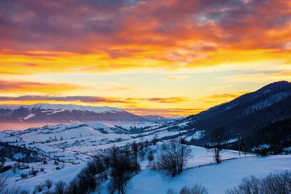 日出时的冬季山景 雪地上的树木和田野覆盖着山丘 云彩笼罩在天空下远处的山脊上 美丽的喀尔巴阡山乡村 — 图库照片