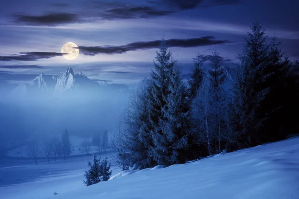 白雪覆盖的山丘上的云杉森林 美丽的山景 在满月的光线下 多雾的天气 天空明亮 — 图库照片