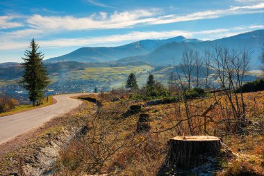 Dağlarda ormanların yok olması. Geçit boyunca taze kesilmiş ağaçlar. Kış mevsiminde bir kütük. Soğuk sonbahar sabahı kırsal manzara