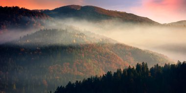 Dağlarda dramatik bir sonbahar şafağı. Güzel doğa geçmişi. Sis, orman tepelerinin üzerinde kırmızı yapraklarla kaplı.