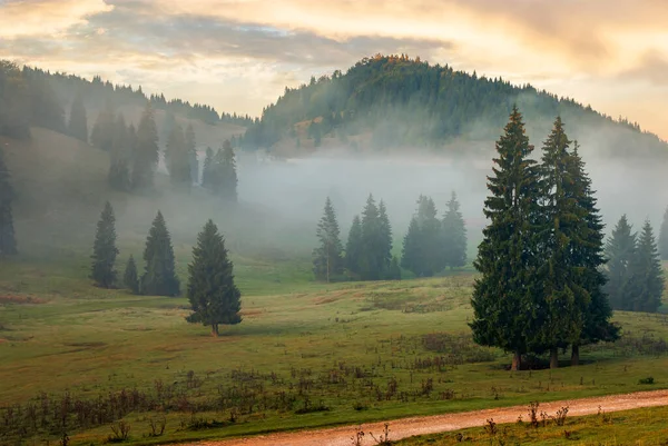 Árboles Valle Del Parque Natural Montañoso Amanecer Brumoso Temporada Otoño — Foto de Stock