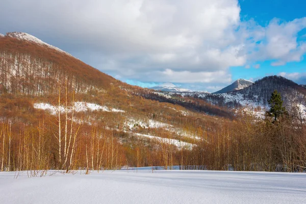 山の中の晴れた冬の風景 雪の上の白樺林の牧草地覆われた 鮮やかな青い空に雲が — ストック写真