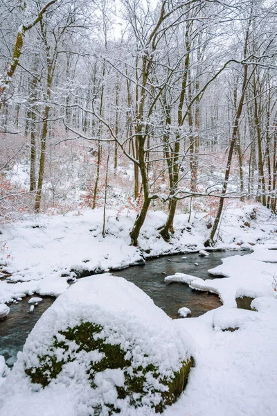 Horská Řeka Teče Zimním Lesem Krásná Krajina Stromy Chatrči Nábřeží — Stock fotografie