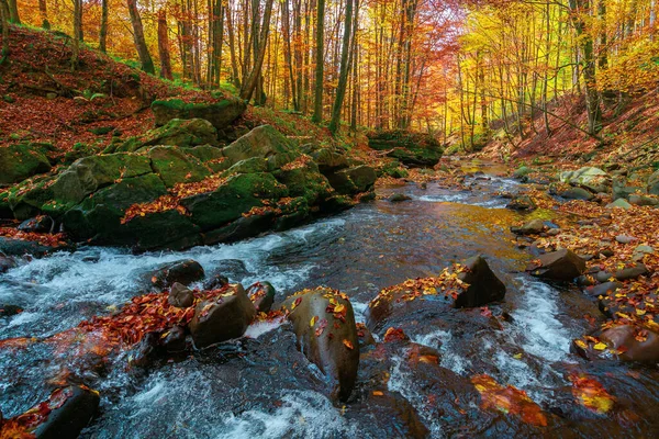 Mountain River Forest Water Flow Rocks Trees Autumn Colors Sunny — Stock Photo, Image