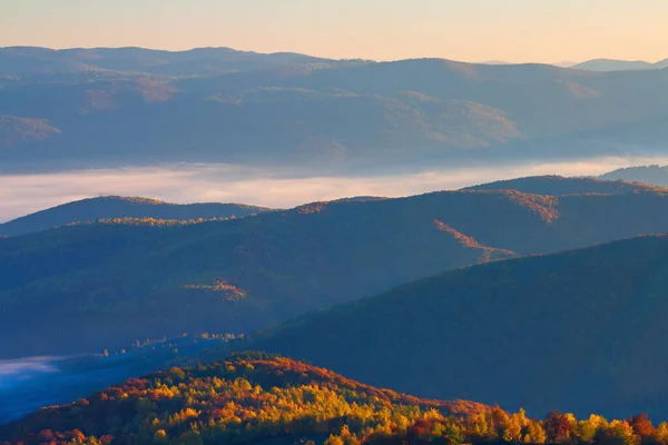 foggy autumn scenery in mountains at sunrise. red and yellow foliage on the trees. hazy weather in the valley