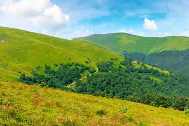 Karpatya dağ sırtı Borzhava 'nın alp manzarası. Rüzgarlı bir yaz gününde nefes kesici manzaralar. Gökyüzündeki bulutlar. Ukrayna 'nın popüler seyahat hedefi