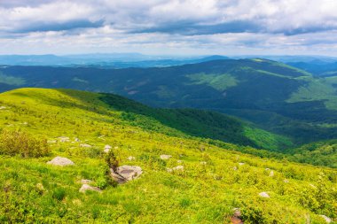 Yazın harika bir dağ manzarası. Doğada yeşil ve mavi renkler varsa güzellik. Dinamik bir gökyüzünün altındaki benekli ışıkta sersemletici dağ manzarası.