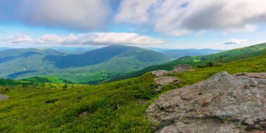 Yazın harika bir dağ manzarası. Doğada yeşil ve mavi renkler varsa güzellik. Dinamik bir gökyüzünün altındaki benekli ışıkta sersemletici dağ manzarası.