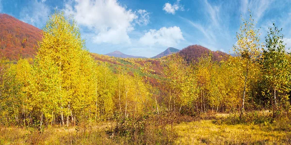 Paisaje Otoñal Amarillo Las Montañas Hermoso Paisaje Natural Con Bosque — Foto de Stock