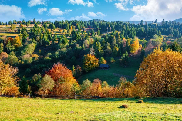 Podzimní Venkovská Krajina Horách Tráva Kopci Stromy Barevném Listí Krásná — Stock fotografie