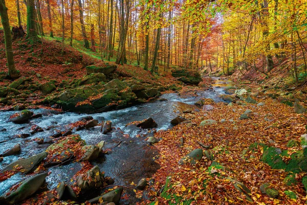 Mountain River Forest Water Flow Rocks Trees Autumn Colors Sunny — Stock Photo, Image