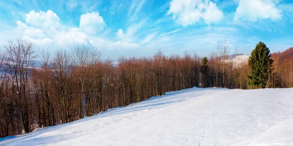 Güneşli Bir Günde Kış Kırsalında Karla Kaplı Tepelerdeki Orman Uzakta — Stok fotoğraf