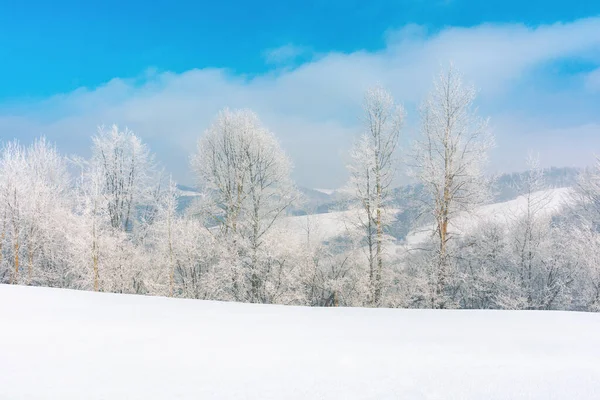 雪に覆われた草原の上にある 山の中の霜の朝の素晴らしい冬の風景 青空の下晴れ 真冬の風景 — ストック写真