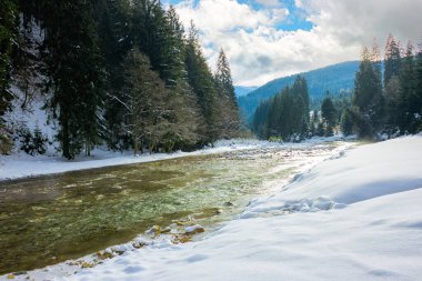 Kışın dağ nehri. Karda karla kaplı ladin ormanı. Gökyüzünde bulutlar olan soğuk güneşli bir sabah havası