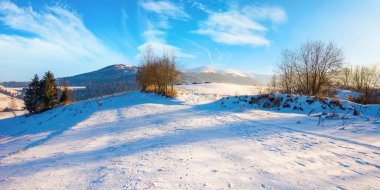 Kışın dağlık kırsal alan. Harika, dondurucu, güneşli bir gün. Karla kaplı tepelerde ağaçlar.