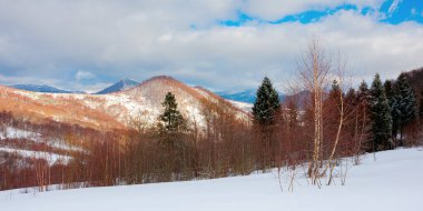 Karla kaplı dağlarda Uzana doğal parkı. Güneşli bir günde güzel bir doğa manzarası. Tepelerdeki karışık orman. Gökyüzündeki bulutlar