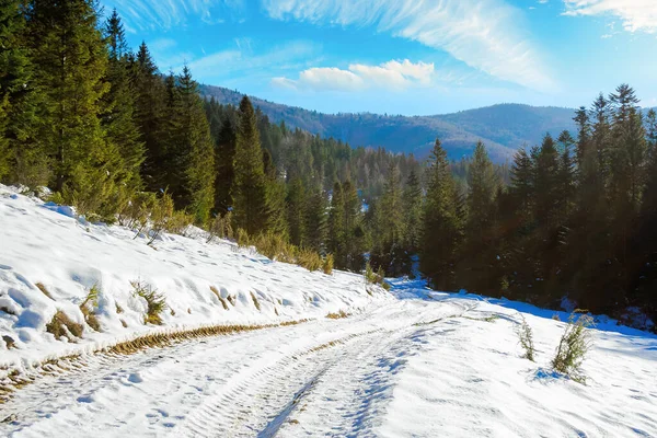 晴れた冬の日にカルパチアの田舎です 美しい山間の田園風景です 丘の上のスプルースの森の間の雪に覆われた牧草地を通り — ストック写真