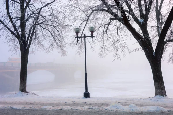 Alberi Sul Terrapieno Coperto Neve Paesaggio Urbano Invernale Più Lungo — Foto Stock