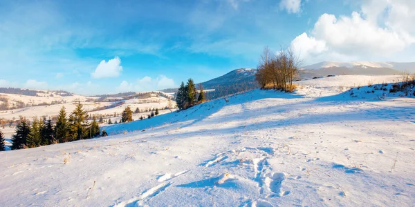 冬季的山地乡村风景 多冷的阳光灿烂的一天 雪地上的树木覆盖着群山 — 图库照片