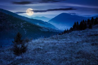 Karpatya kırsalında gece sisli bir sabah. Kırsal vadideki köy. Ağaçlar sonbahar yapraklarıyla tepede dolunay ışığında. Kasvetli hava